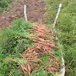 Appartamento Nature *